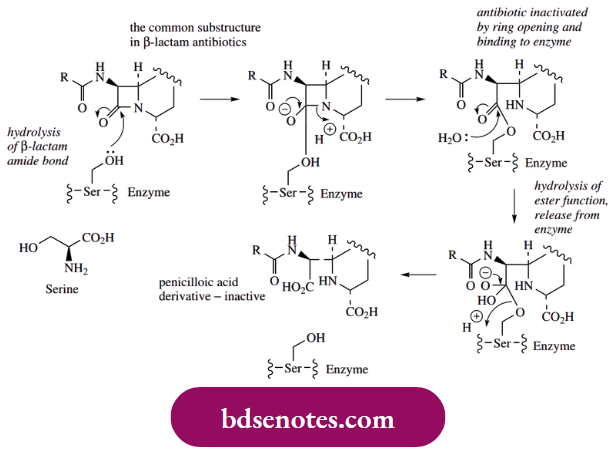 Nucleophilic Reactions Of Carbonyl Groups Hydride As A Nucleophile Reduction Of Carboxylic Acid Derivatives