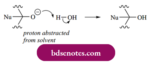 Nucleophilic Reactions Of Carbonyl Groups Most Addition Reactions Actually Involve Both Steps