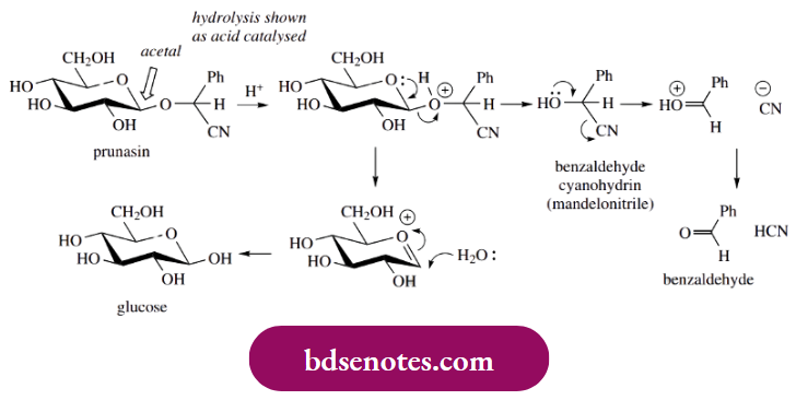 Nucleophilic Reactions Of Carbonyl Groups Natural Cyanohydrins And Cyanogenic Glycosides