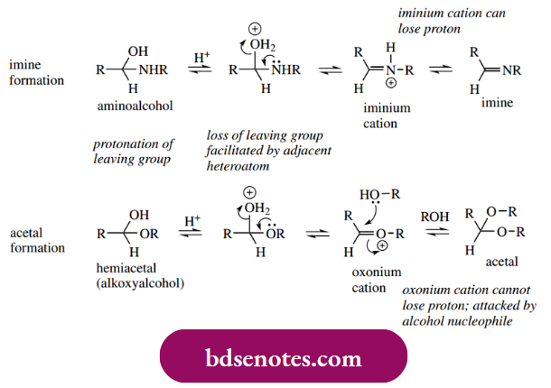 Nucleophilic Reactions Of Carbonyl Groups Nitrogen As A Nucleophile Imines And Enamines