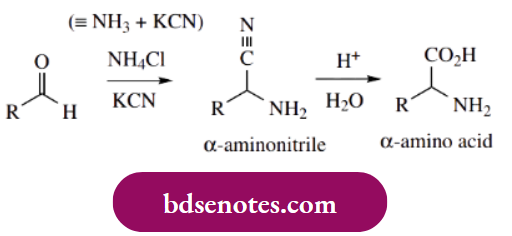 Nucleophilic Reactions Of Carbonyl Groups Nucleophilic Addition Of Carbon To Imines The Strecker Synthesis Of Amino Acids