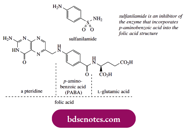 Nucleophilic Reactions Of Carbonyl Groups P-Aminobenzoic Acid Is Used By Bacteria For The Synthesis Of Folic Acid