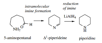 Nucleophilic Reactions Of Carbonyl Groups Piperideine Is Merely Intramolecular Imine