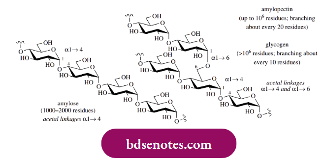 Nucleophilic Reactions Of Carbonyl Groups Polyaccharides Starch Glycogen And Cellulose Are Polyacetals Of Glucose