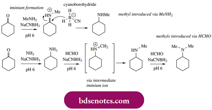 Nucleophilic Reactions Of Carbonyl Groups Sodium Cyanoborohydride As The Reducing Agent Of Choice