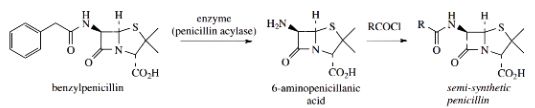 Nucleophilic Reactions Of Carbonyl Groups Synthesis Of An Hydrides and Acyl Halides