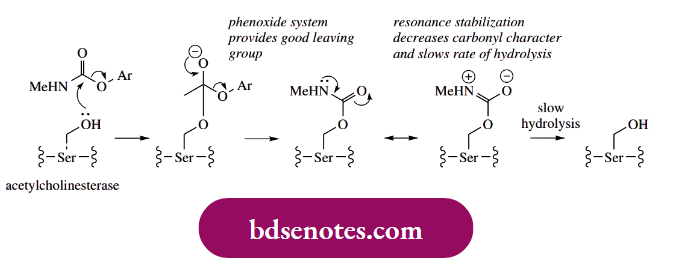 Nucleophilic Reactions Of Carbonyl Groups The Carbamoyl Group Is Transferred To The Serine Hydroxyl