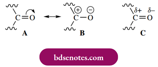 Nucleophilic Reactions Of Carbonyl Groups The Carbon–Oxygen Double Bond