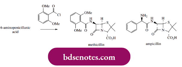 Nucleophilic Reactions Of Carbonyl Groups The First Commercial Semi-Synthetic Penicillins, Methicillin