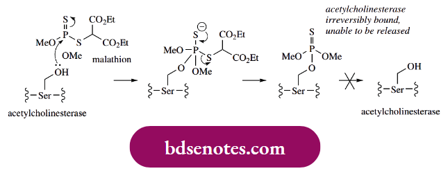 Nucleophilic Reactions Of Carbonyl Groups The Inhibitors Such As Neostigmine And Related Compounds Described