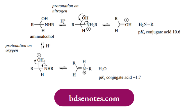 Nucleophilic Reactions Of Carbonyl Groups The Intermediate Aminoalcohol In Acidic Solution