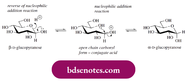 Nucleophilic Reactions Of Carbonyl Groups The Main Cyanogenic Glycoside In Laurel Is Prunasin