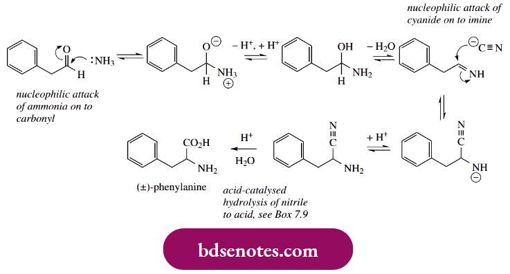 Nucleophilic Reactions Of Carbonyl Groups The Sequence Can Be Rationalized Mechanistically As Involving Nucleophilic Attack Of Ammonia