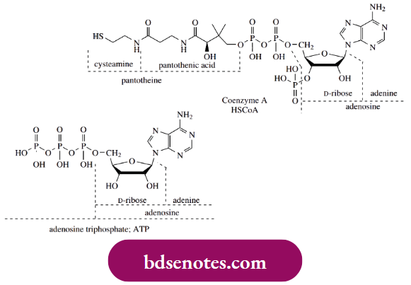 Nucleophilic Reactions Of Carbonyl Groups The Structures Of Adenosine Triphosphate
