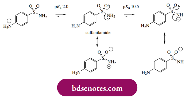 Nucleophilic Reactions Of Carbonyl Groups The Sulfonamide Amine Is Rather More Acidic Than A Carboxylic Amide