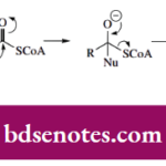 Nucleophilic Reactions Of Carbonyl Groups The Thioester Acetyl