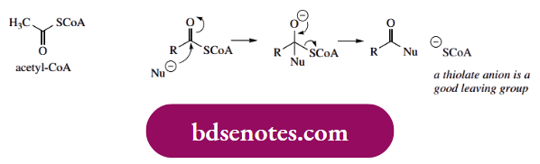 Nucleophilic Reactions Of Carbonyl Groups The Thioester Acetyl