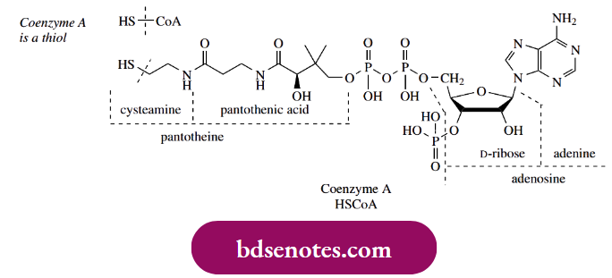 Nucleophilic Reactions Of Carbonyl Groups Thioesters Are More Reactive Towards Nucleophilic