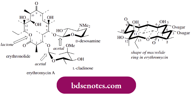 Nucleophilic Reactions Of Carbonyl Groups This Antibiotic Is Prescribed For Patients