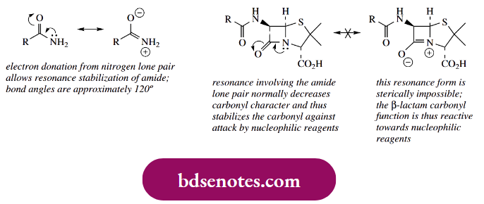 Nucleophilic Reactions Of Carbonyl Groups This Selectivity Is Not Achievable By Simple Chemical Hydrolysis