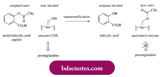 Nucleophilic Reactions Of Carbonyl Groups Transesterification A Spirin As An Acetylating Agent