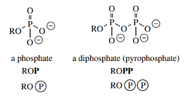 Nucleophilic Reactions Of Carbonyl Groups Triphosphoric Acid