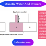 Physiology Of Body Fluids Schematic Representation Of Osmotic Water Movement And The Generation Of An Osmotic Pressure