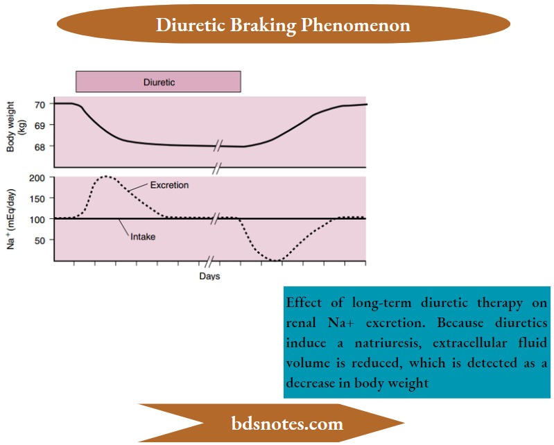 Physiology Of Diuretic Action Diuretic Braking Phenomenon