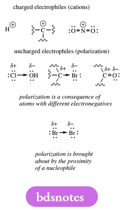 Reaction Mechanisms Electrophiles