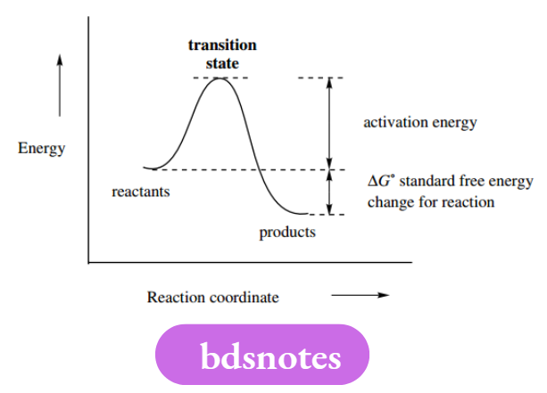 Reaction Mechanisms Energy profile diagram transition state