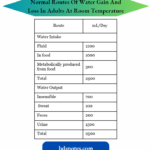 Regulation Of Body Fluid Osmolality Normal Routes Of Water Gain And Loss In Adults At Room Temperature