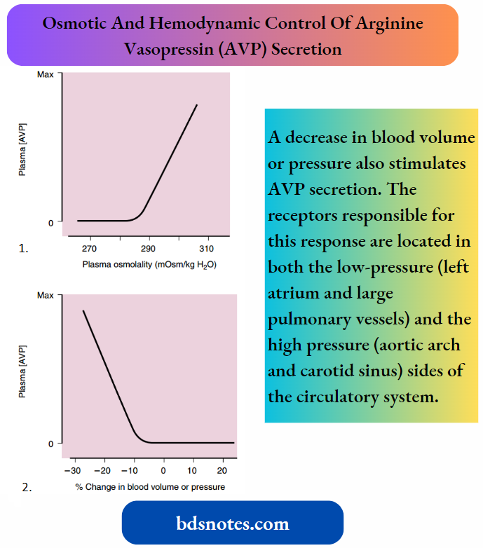 Regulation Of Body Fluid Osmolality Osmotic And Hemodynamic Control Of Arginine Vasopressin