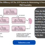 Regulation Of Extracellular Fluid Volume And Nacl Balance The AVP System In Maintaining A Normal Body Flid Osmolality
