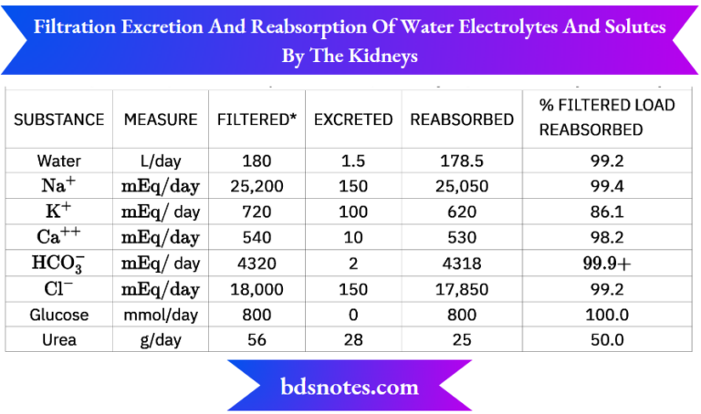 Renal Transport Mechanisms: NaCl And Water Reabsorption Along The ...