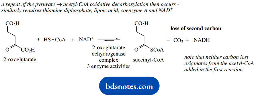 The Organic Chemistry Of Intermediary Metabolism 2 Oxoglutarate Dehydrogenase