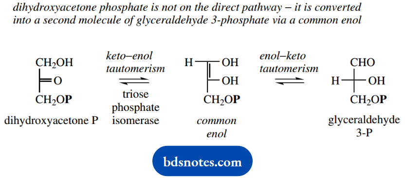 The Organic Chemistry Of Intermediary Metabolism Dihydroxyacetone Phosphate And Glyceraldehyde 3 Phosphate