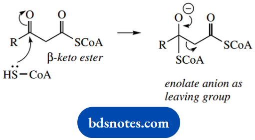 The Organic Chemistry Of Intermediary Metabolism Enolate Anion As Leaving Froup