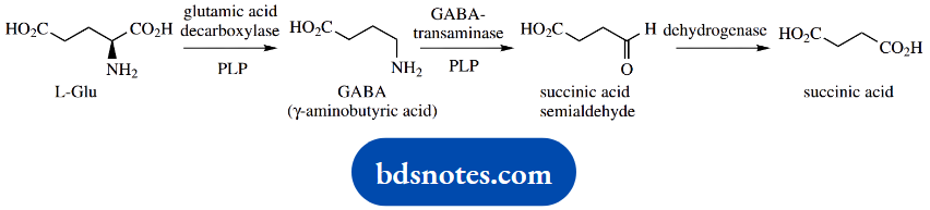 The Organic Chemistry Of Intermediary Metabolism Gamma Aminobutyric Acid