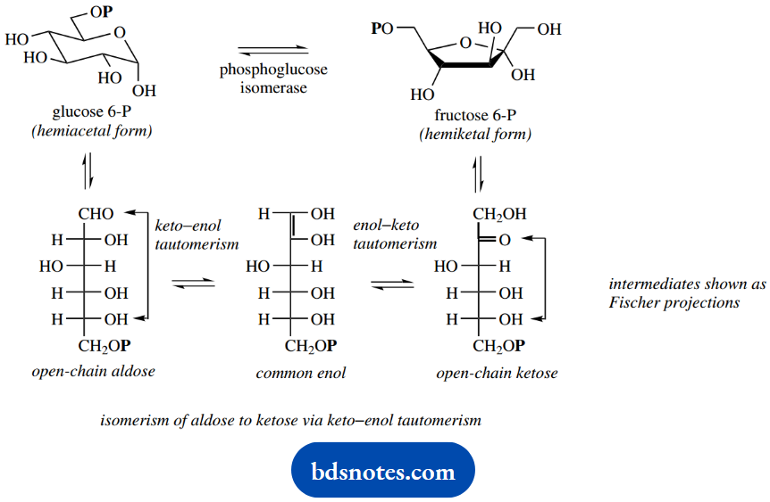 The Organic Chemistry Of Intermediary Metabolism Isomerism Of Aldose To Ketose Via Keto Enol Tautomerism