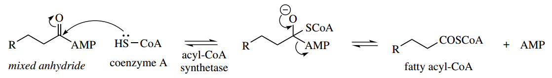 The Organic Chemistry Of Intermediary Metabolism Mixed Anhydride