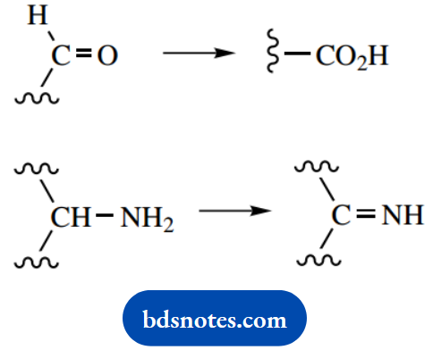 The Organic Chemistry Of Intermediary Metabolism Nicotinamide Adenine Dinucleotide Or Nicotinamide Adenine Dinucleotide Phospote Used In Oxidations