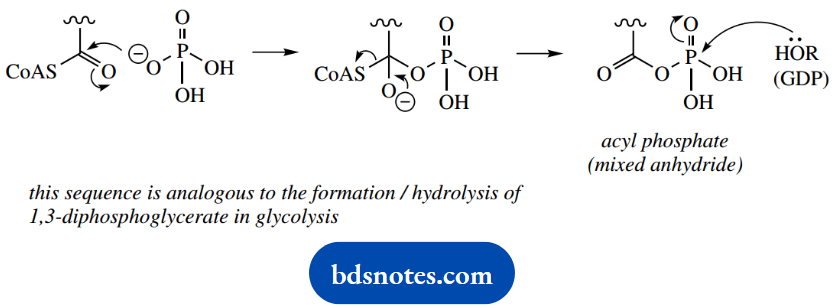 The Organic Chemistry Of Intermediary Metabolism Nucleoside Triphosphate Synthesis