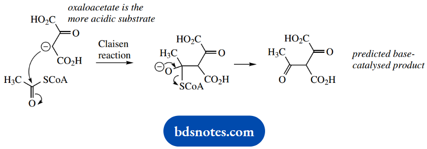 The Organic Chemistry Of Intermediary Metabolism Oxaloacetate IS The More Acidic Substrate