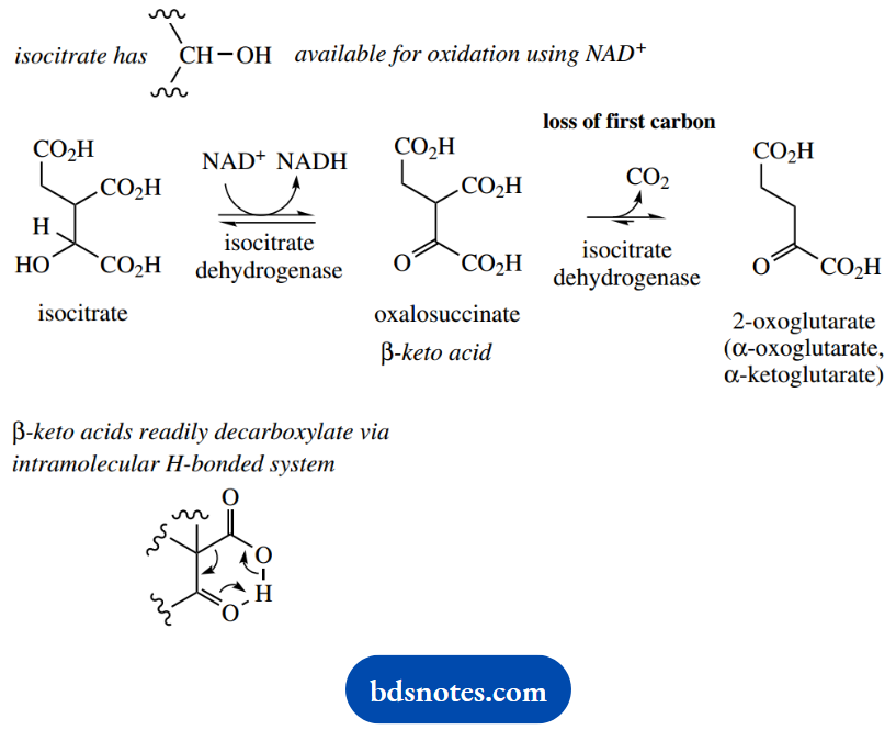 The Organic Chemistry Of Intermediary Metabolism Oxalosuccinate