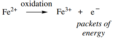 The Organic Chemistry Of Intermediary Metabolism Oxidation Reactions