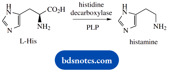 The Organic Chemistry Of Intermediary Metabolism PLP Dependent Amino Acid Decarboxylations