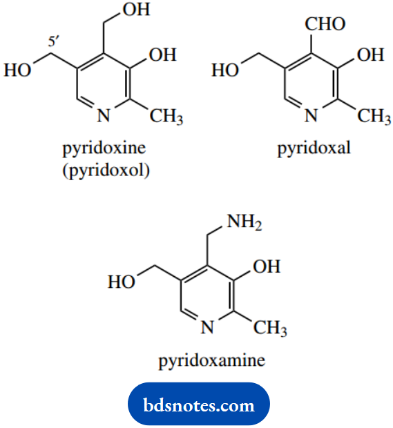 The Organic Chemistry Of Intermediary Metabolism PLP Dependent Reactions