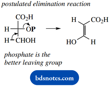 The Organic Chemistry Of Intermediary Metabolism Postulated Elimination Reaction