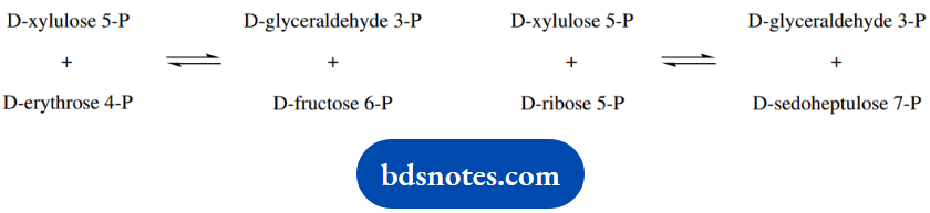 The Organic Chemistry Of Intermediary Metabolism Reactions Catalysed By Transketolase Enzymes