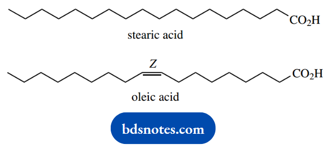 The Organic Chemistry Of Intermediary Metabolism Stearic Acid And Oleic Acid